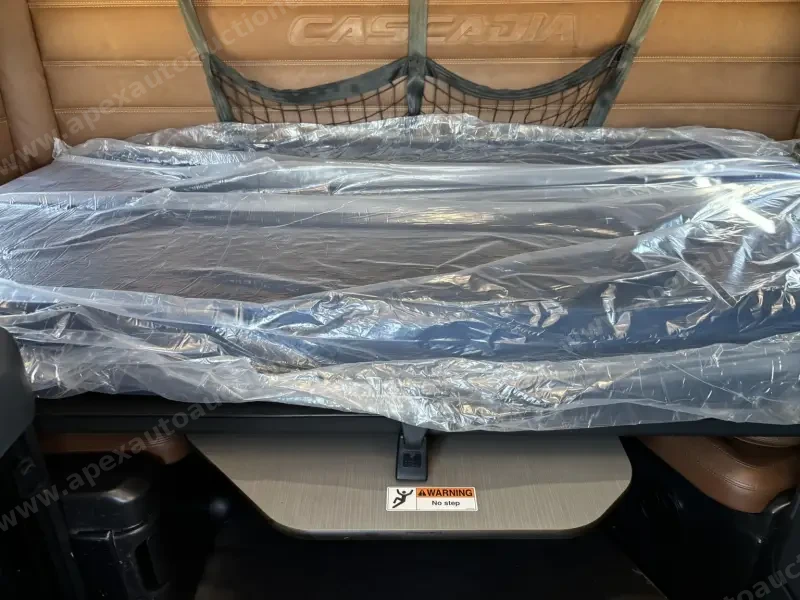 2020 Freightliner Cascadia 126 photo 9