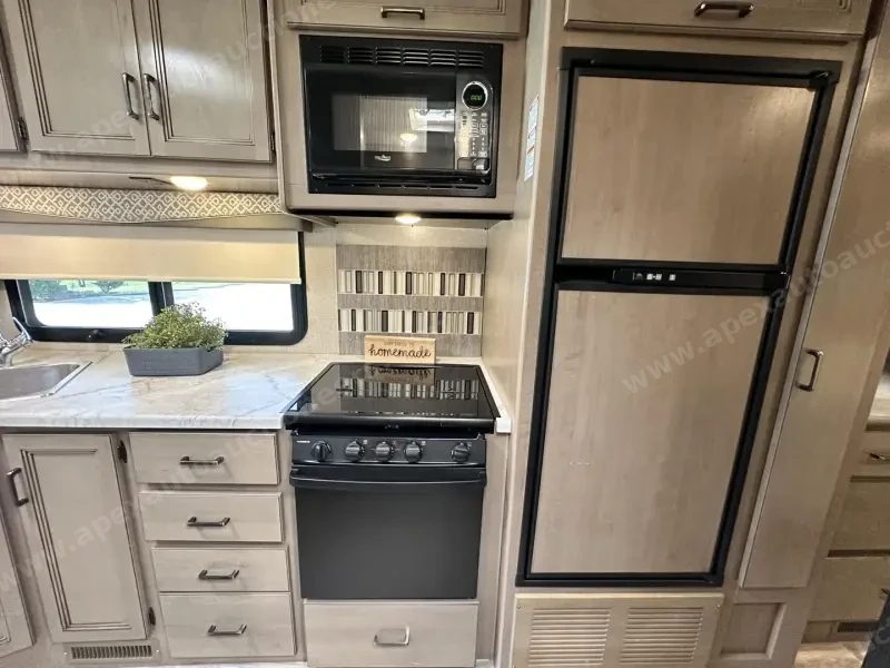 2020 Thor ACE 33.1 photo 18