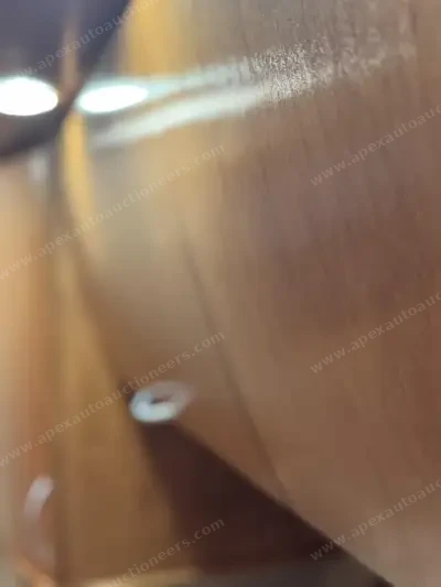 Photo 198